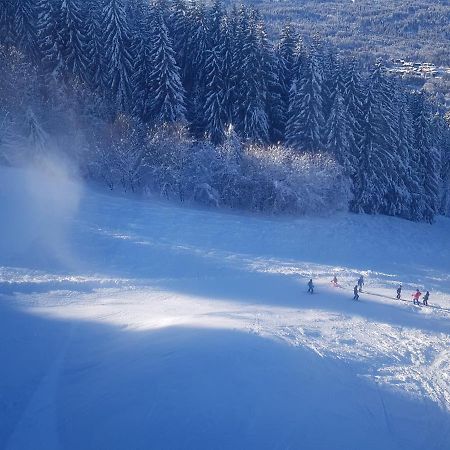 Les Frahans Samoëns Buitenkant foto