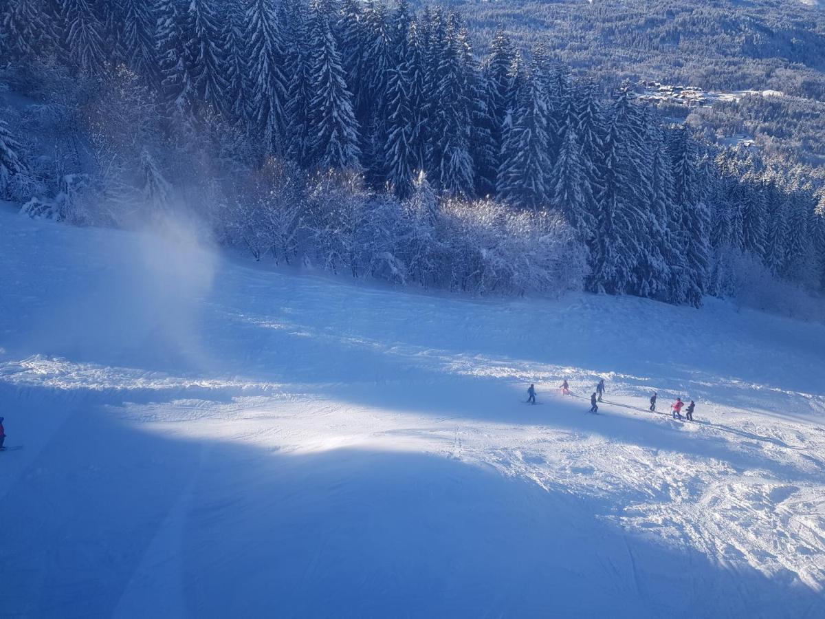 Les Frahans Samoëns Buitenkant foto